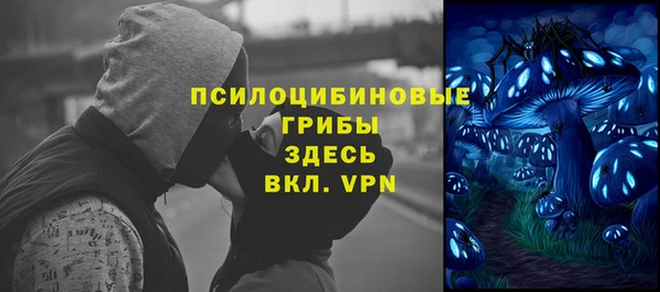 мяу мяу мука Дмитровск