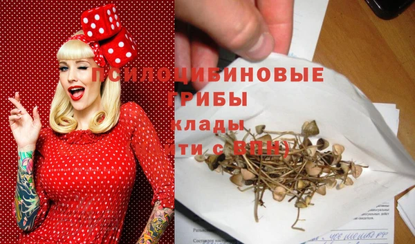 мяу мяу мука Дмитровск
