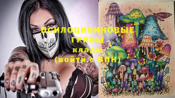 эйфоретик Дмитриев
